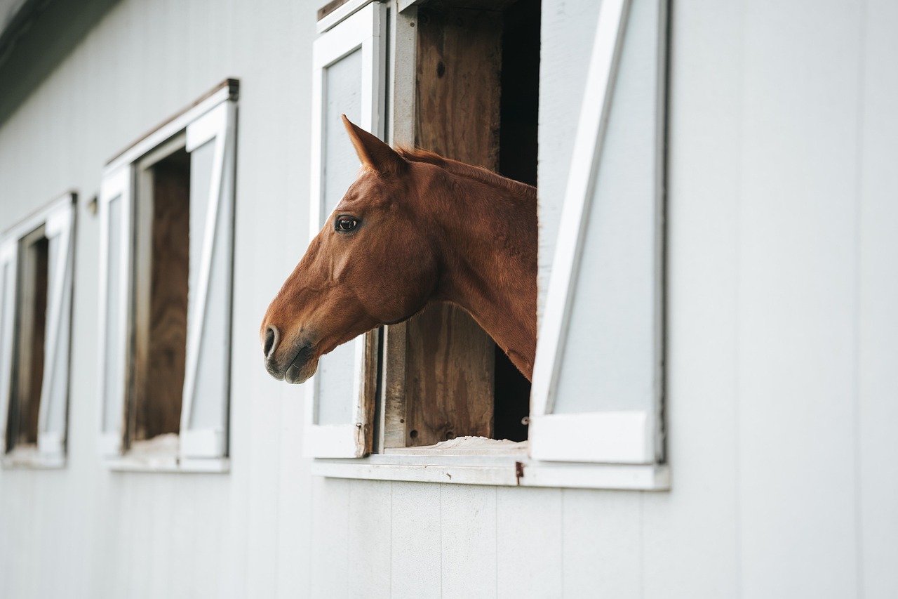 Stable Manager