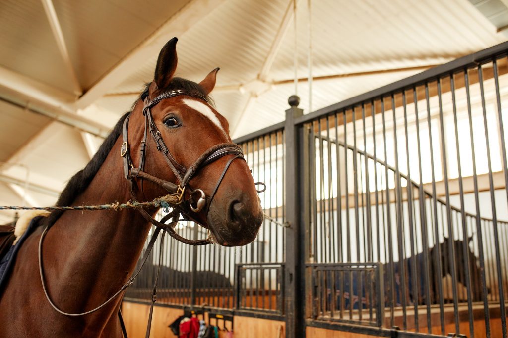 Stable Manager Duties