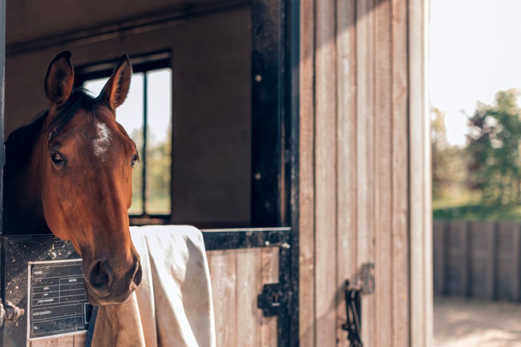 Hire a Stable Manager near me