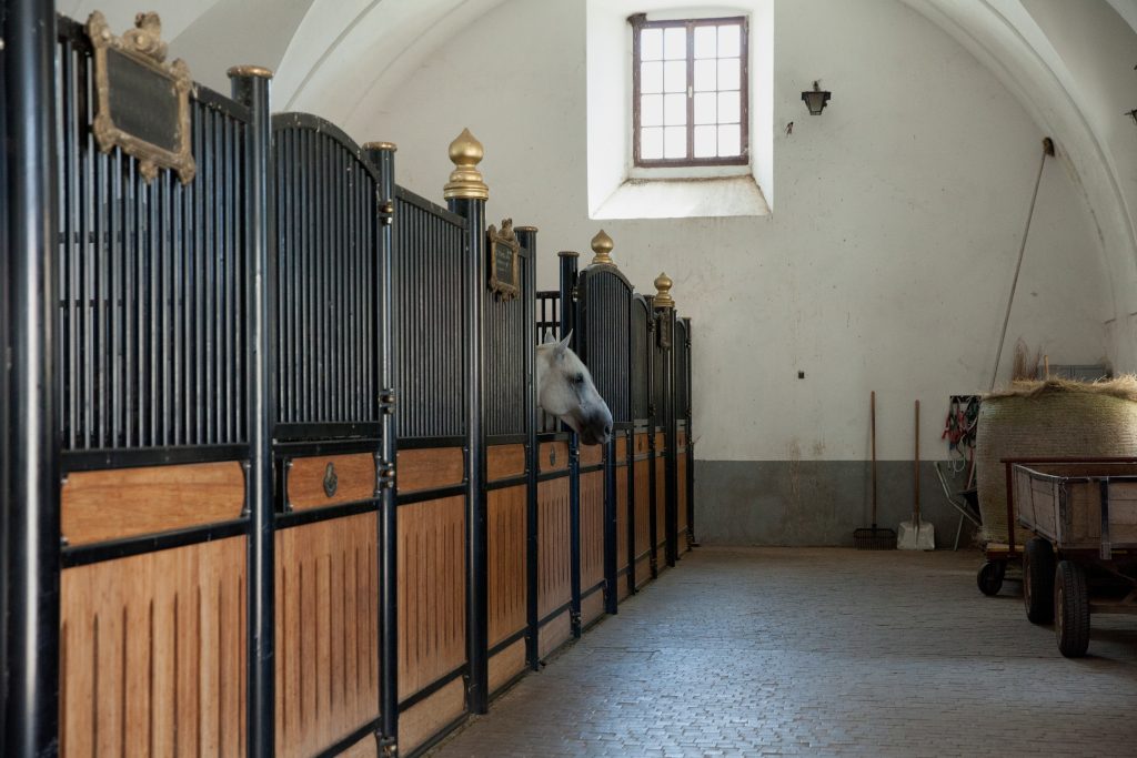 Stable Manager Qualifications